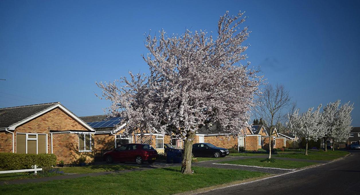 Wings Bed and Breakfast Oakham Εξωτερικό φωτογραφία
